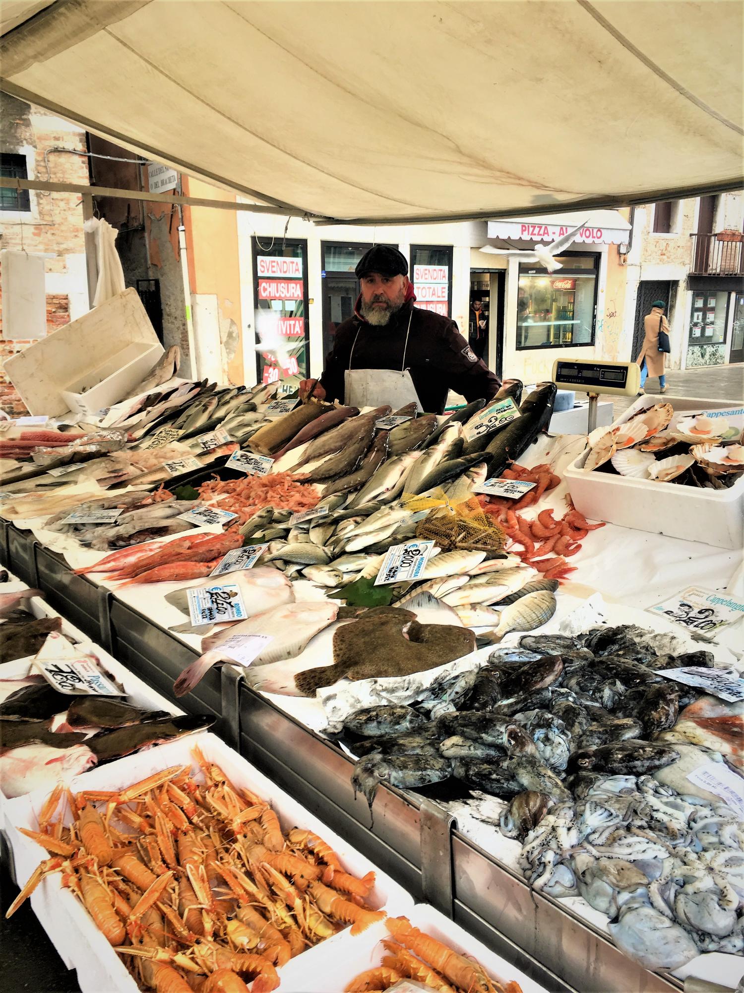 Daily Fish Market in Campo Santa Margherita